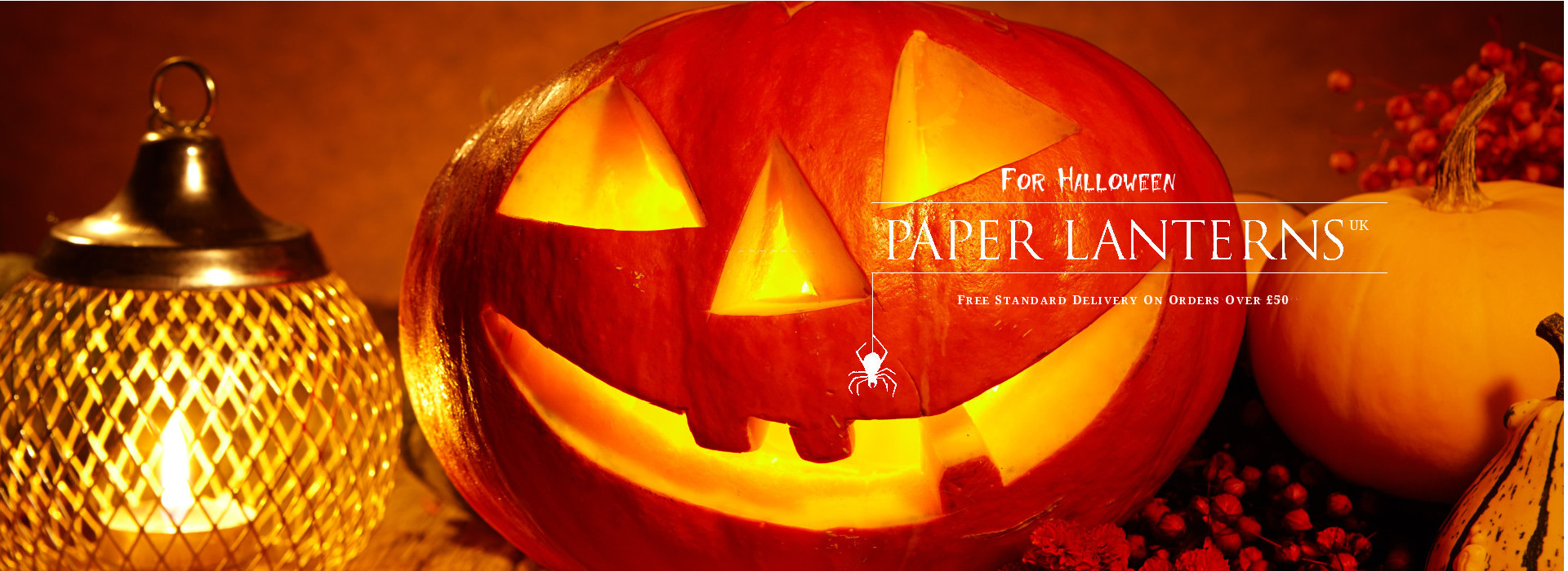 Paper Lanterns UK's Largest supplier of Lanterns